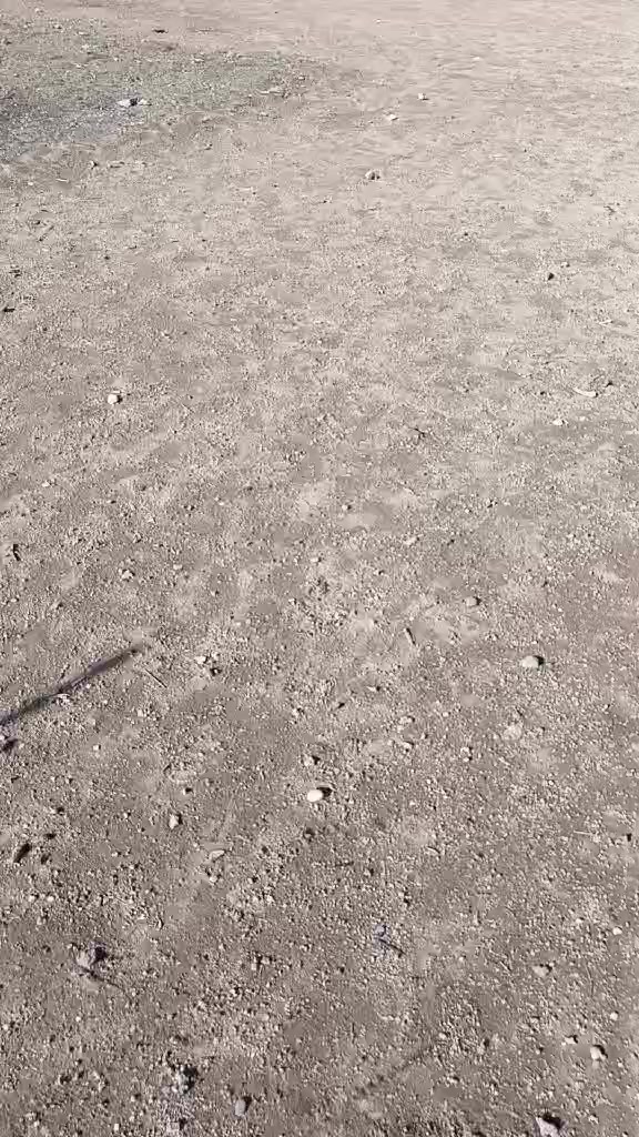 السلام عليكم
قطعه ارض للبيع المساحه 225 قريه خراب الكبير قريب للجامع قره باش 
الواجهه 15 
والنزال 15 
ملاحظه ::واجهه القطعه للفرع
ماء كهرباء متوقر 
للاستفسار ***********
