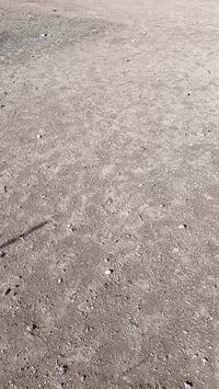 قريه خراب الكبير • ٢٢٥م • واجهة ١٥