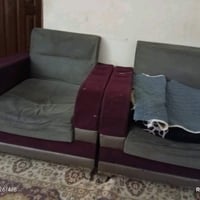 تخم اريده 50