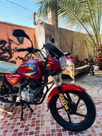 بوكسر • جبلي • ٢٠٢١