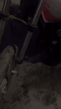 دراجه نيرجي • نقصه يد بنزين • شط العرب بصره