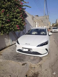 سيل ٥ • ماشية ٥٥٠٠ • رقم بغداد مميز