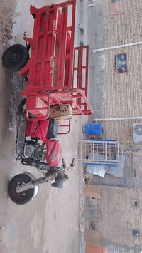 ستوتة صلطان • موديل 2019 • ميسان الدبيسات