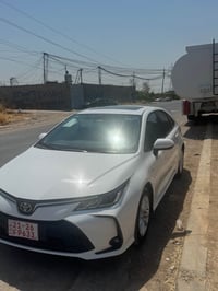 بيكاشو • ٢٠٢٥ • ٩٠٠ كم