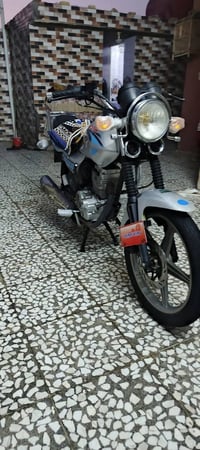 دايون عضم • موديل 19 • اوراق أصولي