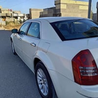 اوباما موديل 8 • نمر انكليزي • صبغ بدون داخل