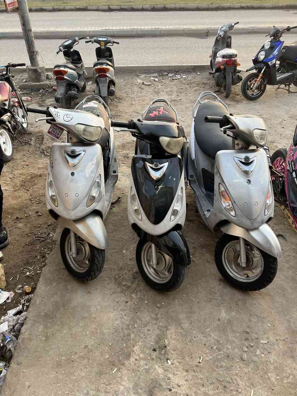 مرححبا
ماكسات منغولي 
كله بلاد 49
كلهن شغالات اي نقص مابيهن
مختمات 
وع750الف
العنوان/العمارة/العرضات/فلكة القاضي 
***********
