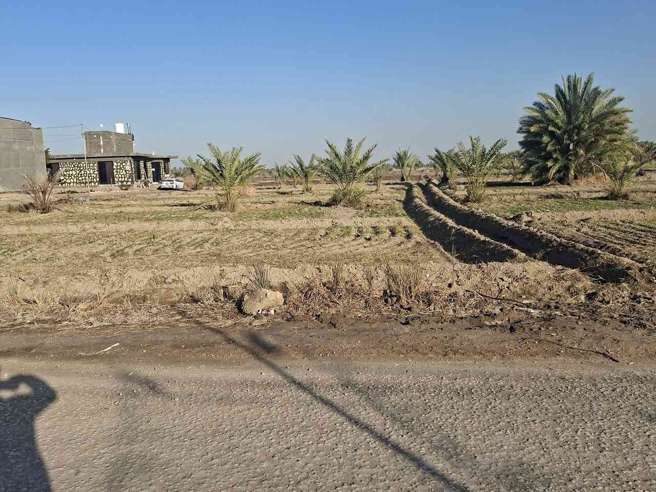 قطع سكنية للبيع طابو زراعي سند 25 مباشر على التبليط وبطرفها شارع يحيط بالأرض من الجانب
متوفرة كافة الخدمات. ماء + كهرباء + تبليط
الي يريد يشتريها شلع المساحه الكلية 3 دونم واجهتها 30 متر على التبليط بالإضافه للشارع الي بجانبها. والأرض لها نهر ماء خاص للسقي مباشر من الجدول. 
العنون: الحله_ الصياحية_ قرية حجي احمد 
تبعد عن شارع حلة_بغداد تقريبا كيلو
السعر على الخاص
او الإتصال على الرقم ***********
