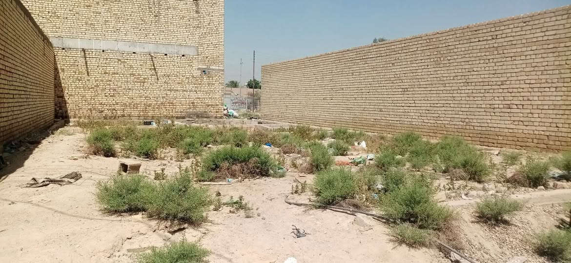 قطعه ارض نهايه اربع شوارع مدخل سكله الركابي مي كهرباء بتلو ودفن كامله منطقه مذكوره بلاكساء وباقي الخدمات هل ايام المقبله 100متر   موجهه فرع 13
منطقه ستار الطوكي خلفها  راح يبشلون مشروع السندباد *********** متواجد ع واتساب وع الرصيد
قطعه ارض نهايه اربع شوارع مدخل سكله الركابي مي كهرباء بتلو ودفن كامله منطقه مذكوره بلاكساء وباقي الخدمات هل ايام المقبله 100متر   موجهه فرع 13
