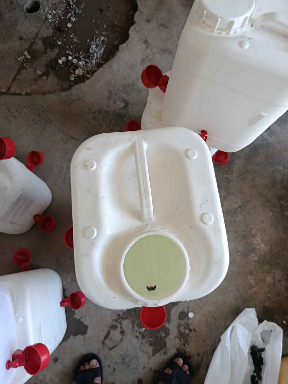 خۆت ڕزگاربکە لەناڕەحەتی زووزووگۆڕینی ئاوی پەلەوەرەکانت یان سەردانکردنیان لەباخ یان له هەرشوێنێک بێت *********** السليمانية, العراق
