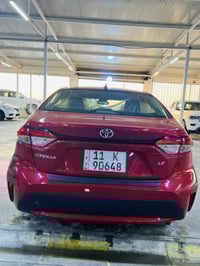 ٢٠٢٠ • وارد امريكي • حادثة