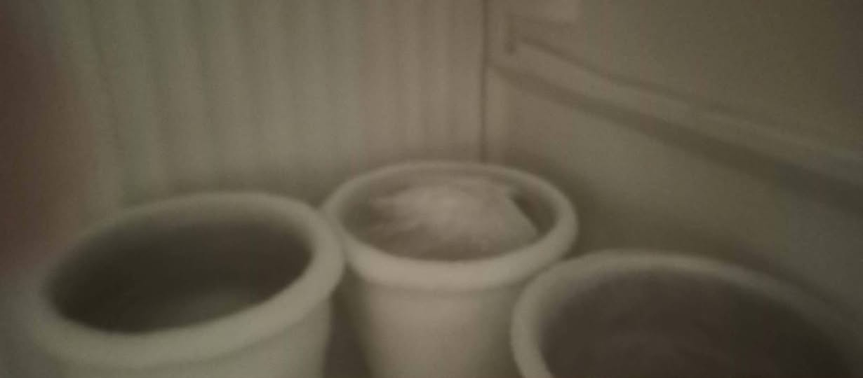 ثلاجه نضيفه للبيع السعر ب٢٣٠
***********
