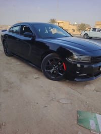 كلين تايتل • وارد كندي • رقم اربيل