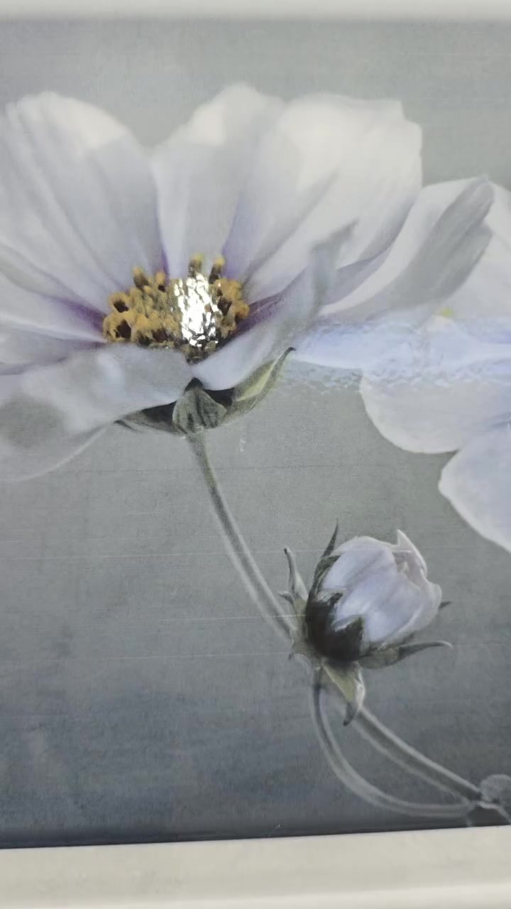 بفضل الله تعالى وصول أحدث الموديلات مكان الصويره تقاطع حي زهراء توزيع جمله مفرد انسب الاسعار 
***********
