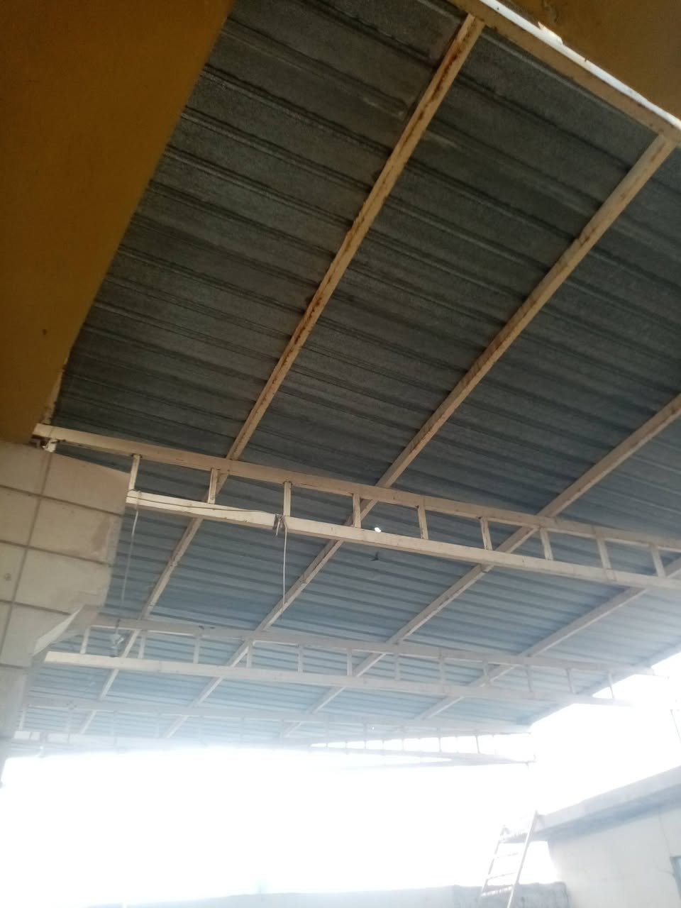 سقفية جينكو للبيع
للتواصل ***********
