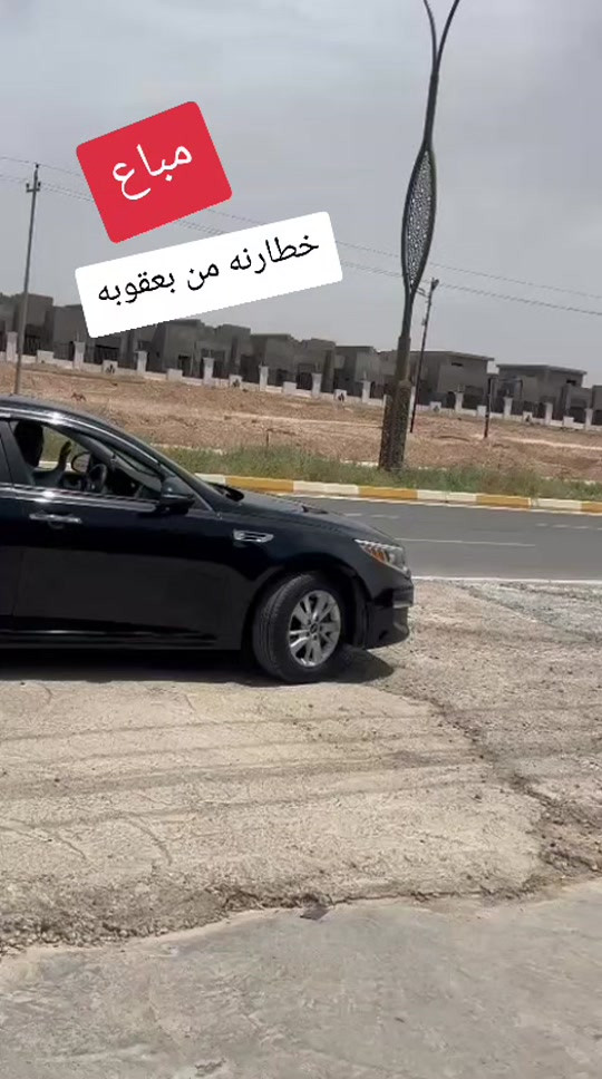 #حيدر_الجاف_كارس  #مباع 


**إذا كنت صاحب هذا الإعلان وتريد حذفه لأي سبب، رجاءا أرسل رسالة إلى الدعم الفني**