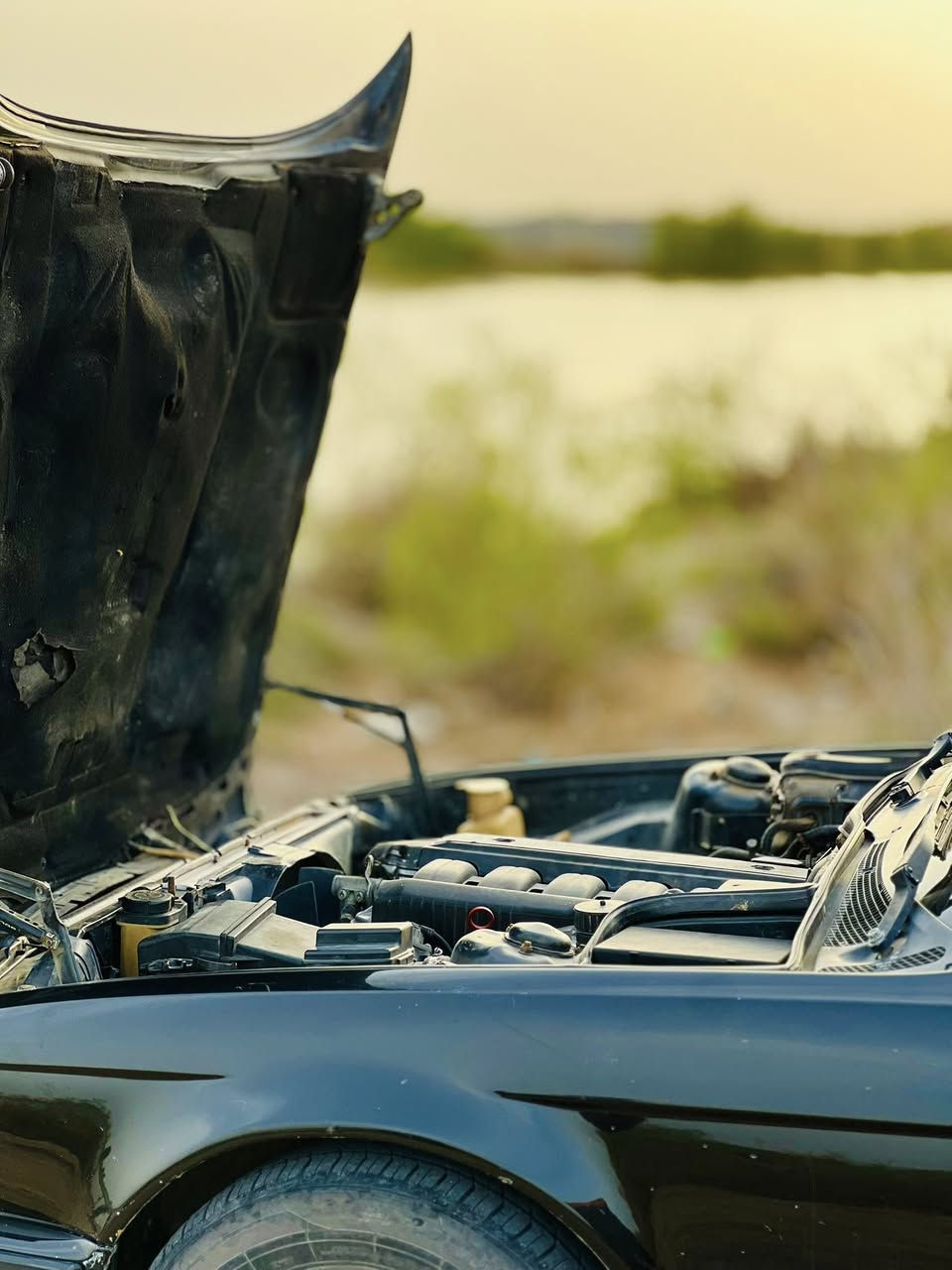 من رخصة الادماً BMللبيع 525مكينة فانوص رقم اربيل سنويه ساقطا السعر 60وبيه مجال العنوان البصرة الهارثة للستفسار رقم ***********
