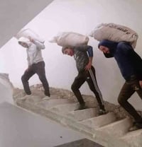 /  يوجد كادر عمل جاهز /  تصعيد مواد /  تنضيف بيوت /  تفليش /  تكشيط / ...