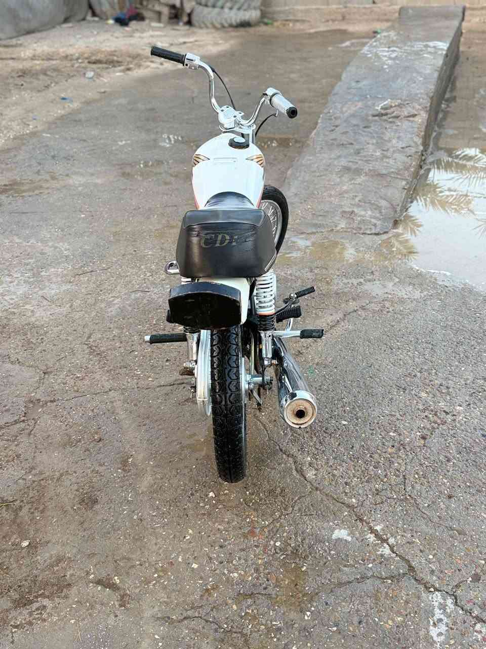 جواد هل شكل مديل 2025 اليحب يقتني يتفضل خاص او تصال *********** مكان بابل قضاء القاسم(ع)  السعر 550 بيه مجال بصيط
