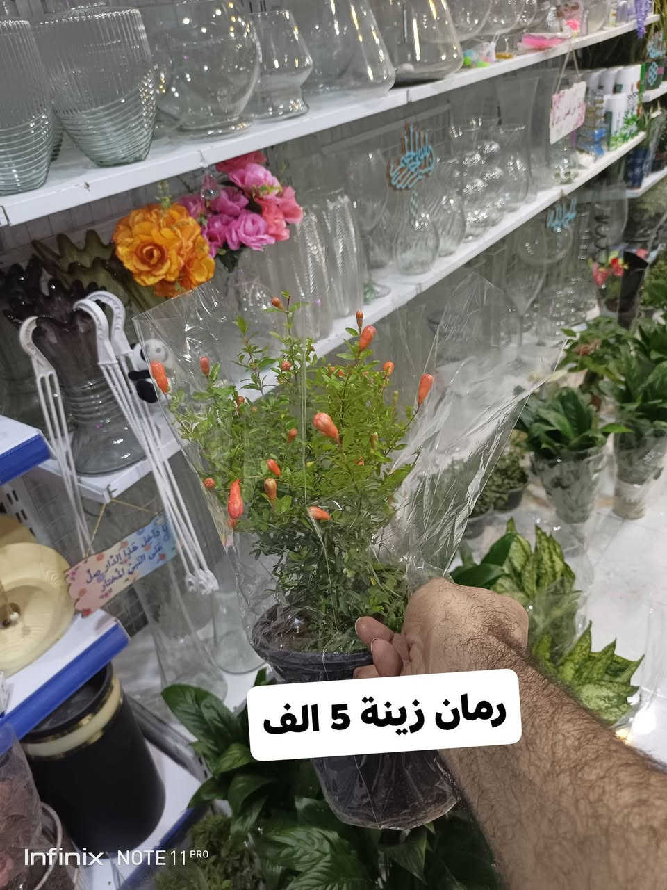 الانبار الرمادي العزيزية مكان الجديد...من جهة شارع العام  شارع ميسلون  اول فرع على اليمين *********** ... يوجد توصيل داخل الرمادي...
