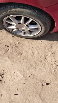 شيري فلاوين • ٢٠١٣ • نجف