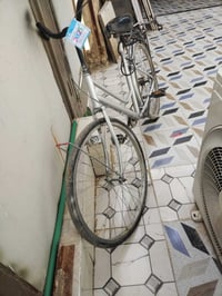 بايسكل • مصبوغ • تاير طاك