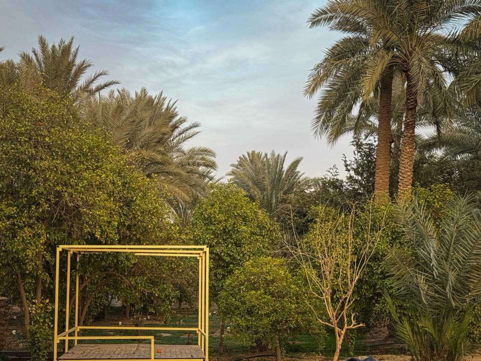 اللهم صل على محمد و ال محمد
السلام عليكم للبيع ، بستان خمسة دونم سند منفصل في كربلاء منطقة الزبيلية يحتوي على :
. اكثر من 220 نخلة بكافة أنواع النخيل من البرحي و الزهدي و الخستاوي و السلطاني و حمرة جبل و غيرها من أنواع النخيل 
.اكثر من 500 شجرة ( برتقال كربلاء الشهير ، ليمون كربلاء ، نارنج ، لالنگي ، رمان يمني ، عرموط ، النبگ ، خرمالو ) و غيرها 
. حوض صالح لتربية الأسماك ( حجمه تقريبا 40 الف متر مكعب ) 
. أقفاص صالحة لتربية كافة أنواع الحيوانات كالدجاج و البط و المواشي 
. دار استراحة يحتوي على مطبخ و صالة و مضيف و غرفة نوم و مجموعة صحية داخلية و خارجية 
للاستفسار اكثر ***********
