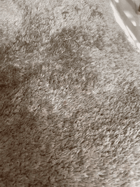 فراش بيت شتوي مستعمل نظيف جدا لونين 2 رصاصي وواحد بيجي 
الجبير رصاصي قياسه 7*225
وبي كصات مادرج 

220*330 رصاصي هم

البيجي 2*4 تقريبا 

واكو فضلات زايده هواي وياهن لتغطية الفراغات
***********
