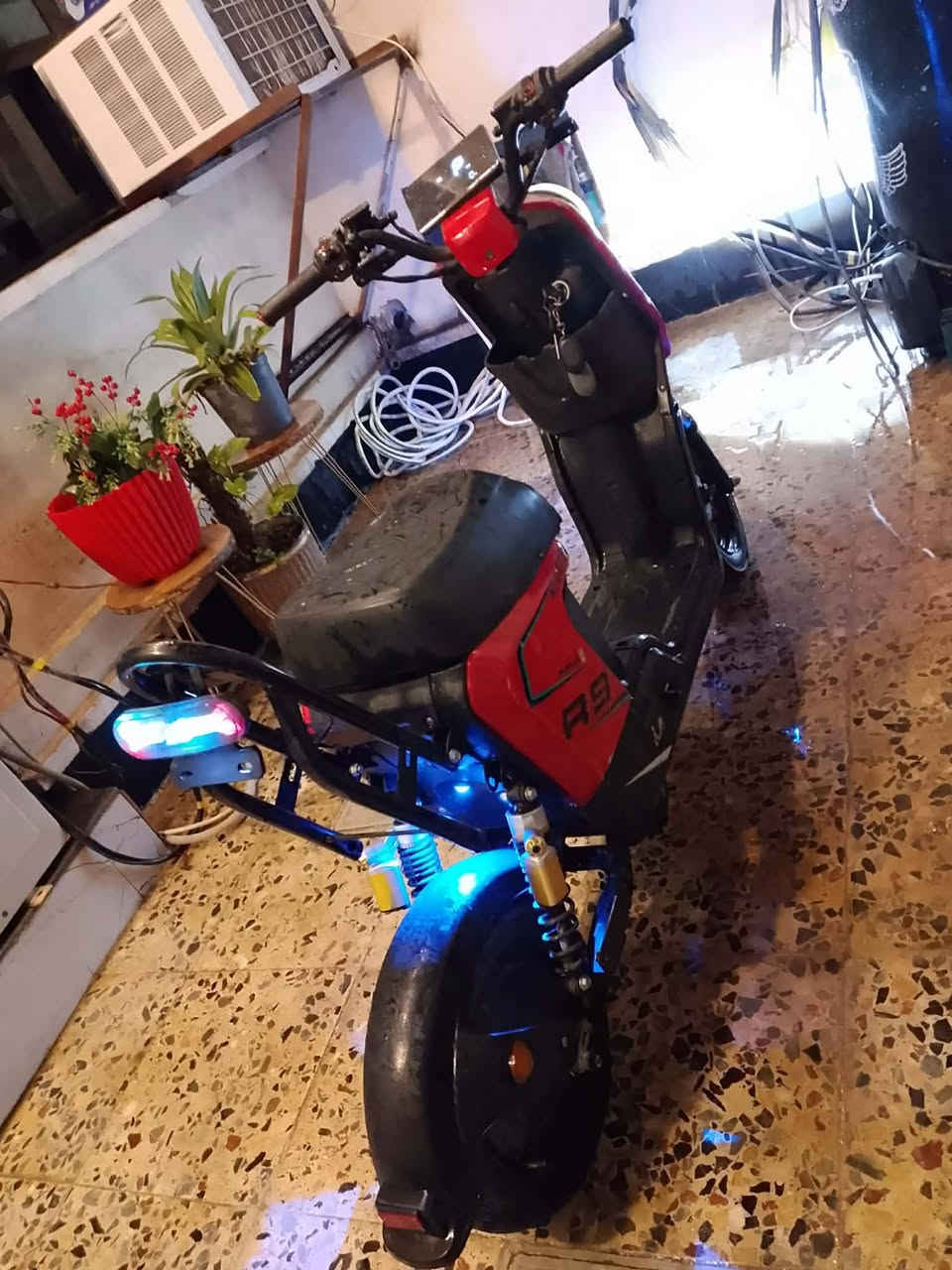 دراجه شحن R9 

سرعه 99 حقيقي 
اربع سرعات 
خمس بطاريات ليثيوم 
لايت عالي ناصيي 
جاملغ خلفي جديد 
جاملغ امامي جديد 
اشاير يمنه يسره شغال كهربائيات كلها شغاله بيها كفر امامي بس واكع يرادله شد دبلات غاز يتحملون وزن سعره 350الف قفل اخوان تشغيل دبل سويج شاحنه الدراجه جديده


**إذا كنت صاحب هذا الإعلان وتريد حذفه لأي سبب، رجاءا أرسل رسالة إلى الدعم الفني**
