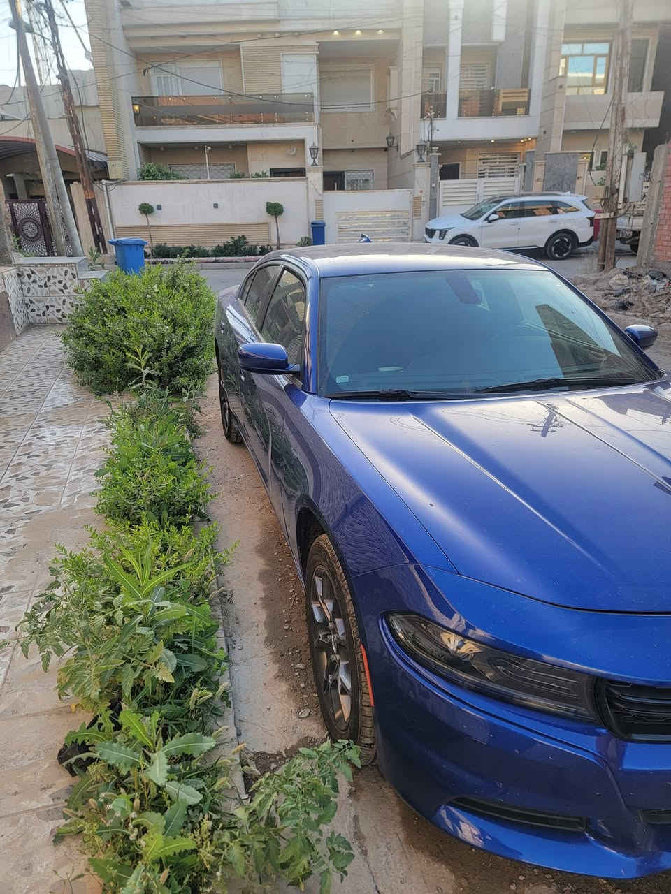 sxt موديل 2022
سيارة حادث دعامية ماشية ٢٩ ألف بدون صبغ سيارة بدون ايرباك سيارة فور ويل ***********
