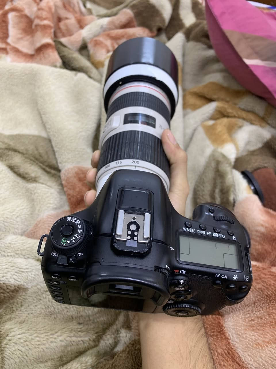 كانون 7d مارك تو شتر 24 كامره كلش نضيفه بطاريات ثنين + عدسه 70/200 دبل استبلايزر مو العاديه  بيه فقط فطر ما مئثر ع كلشي ونضيفه وكلشي ع فحص 
شعندك مراوس اعرض سوني نيكون كانون


**إذا كنت صاحب هذا الإعلان وتريد حذفه لأي سبب، رجاءا أرسل رسالة إلى الدعم الفني**