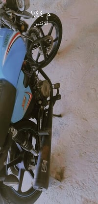 شاينك • موديل 2024 • أوراق كاملة