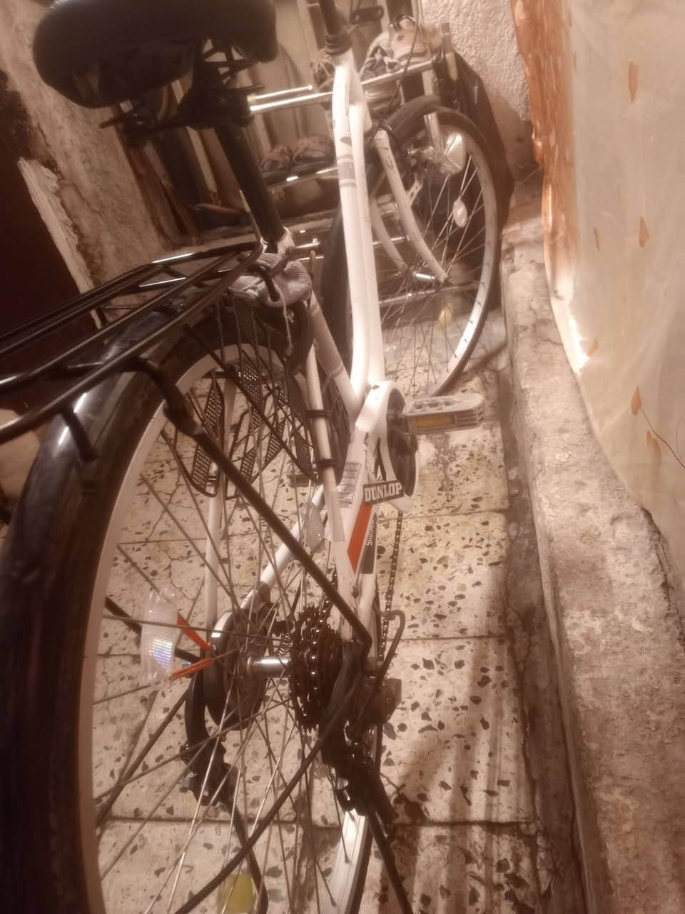 سلام عليكم بايكسل بناتي للبيع

حجم 26 اصلي غير تجاري اكلوب شغال موديل 2015 كير شيمانو اصلي بريك شغال الخلفي  جرس 🔔 شغال الاستفسار *********** السعر 120اوبي مجال
