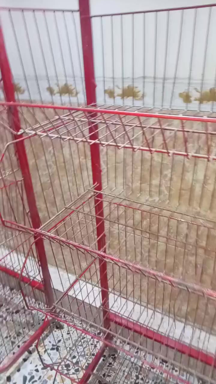 للبيع 
عارظات اجباس  للبيع نظيفات جدن معه عارظة سكائر
***********
