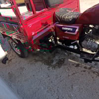 ستوته • موديل 16 • بدون أوراق