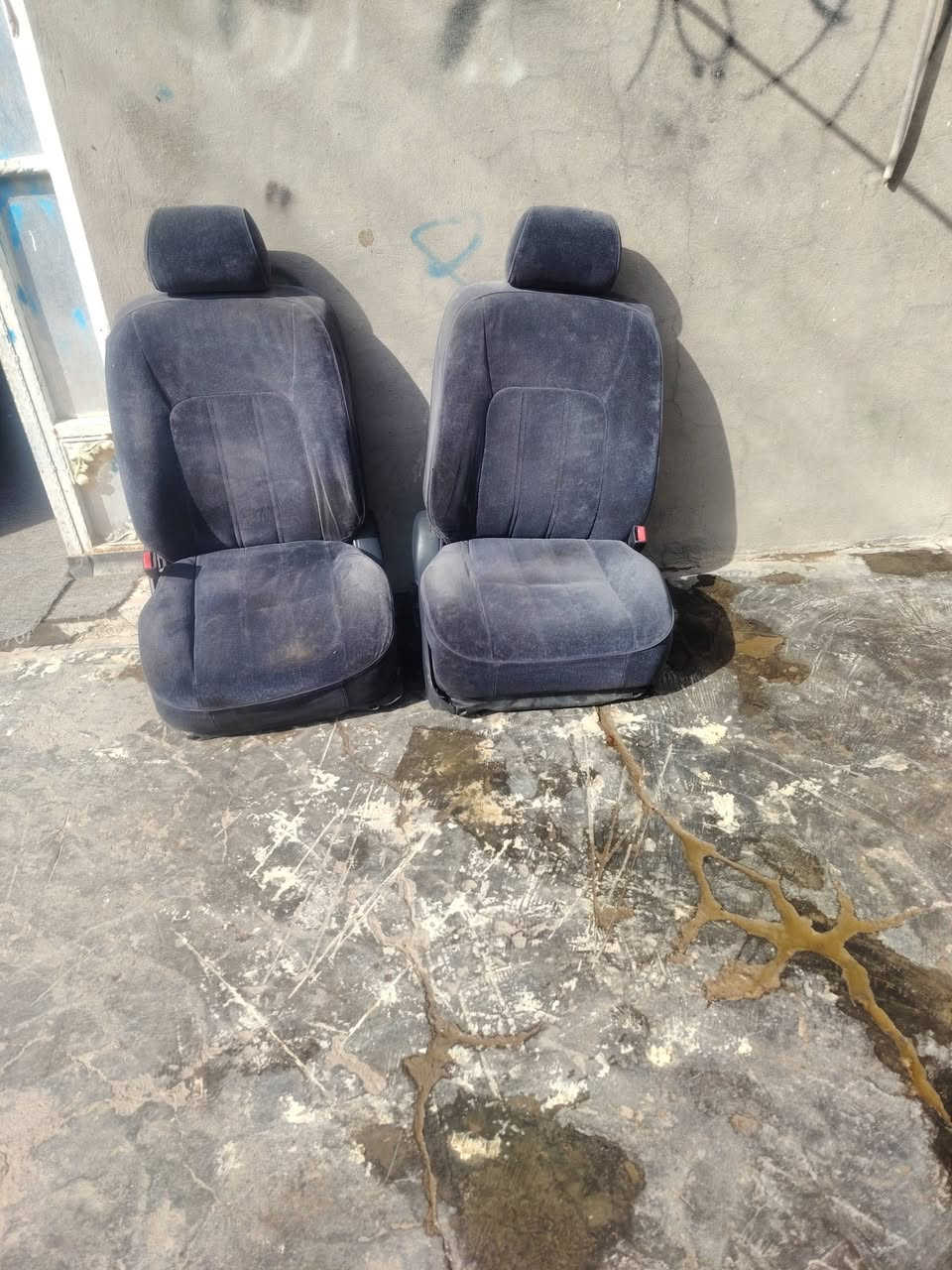 كشنات تخم ابو عيون كهربائي مكان بصره زبير سعر 125  ***********
