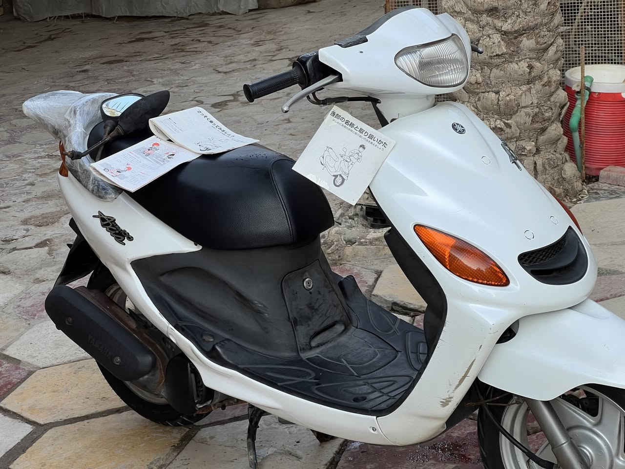 دخول جديد كارتون اكزز حاويه فحل 
ماشية 25 بعدها بدهن اليابان 
كفاله عامه من كلشي قطعه كلش جميله 
شرط نعومه وشلعه ومعدل 
سعرها مليون و 525 العنوان// سوك الشيوخ
***********
