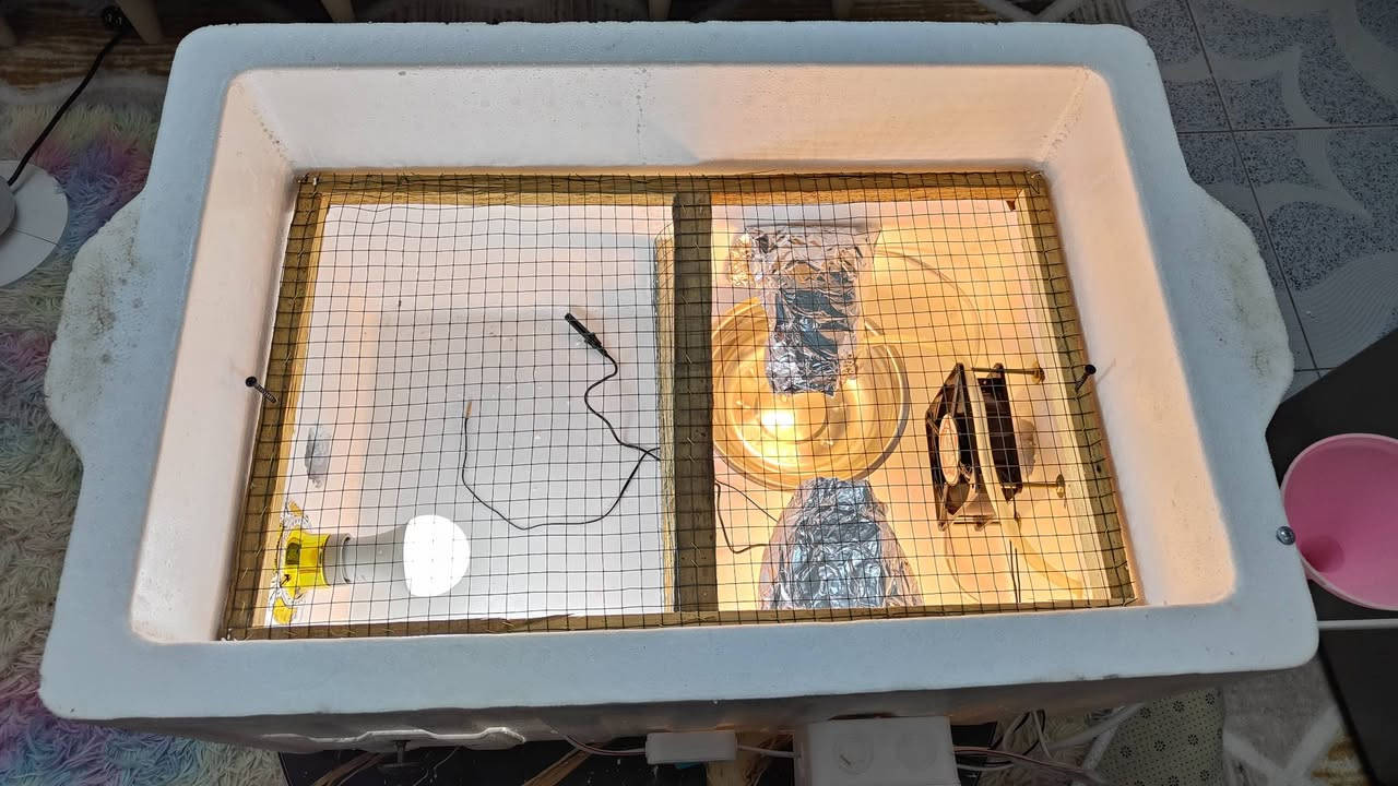 متاح فقاسه + حاضنه جديده الحجم. الكبير تاخذ 100 بيضه  مفوله وضمان التفقيس سعرها قفل 89 
***********
