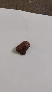 صلطاني خام مصور سعر ٤٠الف ٠٧٧٠٣٢١٦٩٣٠