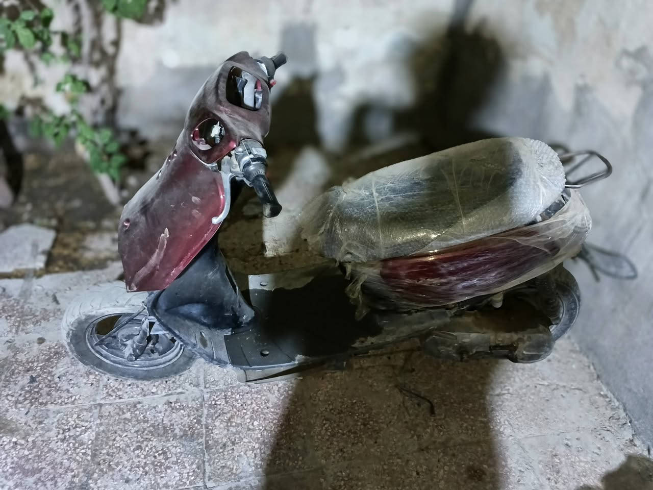 سلام عليكم دراجه منغولي للبيع دراجه عوزه نواقص قليله ابيعك كوم حديد علا حطته تجي تحمل وتروح عنوان ناصريه مركز سعر (100) وبيه مجال للشراي


**إذا كنت صاحب هذا الإعلان وتريد حذفه لأي سبب، رجاءا أرسل رسالة إلى الدعم الفني**
