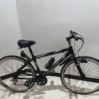 جاينت • هجينة • مقاس ٢٦
