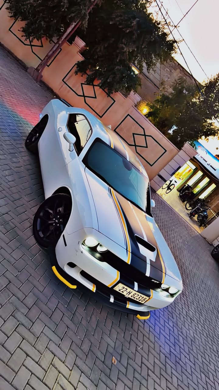 السلام عليكم جالنجر 21Gt حادثها بنيد فقط بدون ايرباك وطلع بيها من امريكا 3 قطع صفحة السايق ومصلحة بامريكا السيارة ماشية 40 مايل جديدة من كل شي تخم تاير جديد صدر جديد دهن كير وفلاتر  سنوية وهزة كلة جديدة  برغي نقص ما بيها مكينة وكير وتبريد على وضع الشركة مكاني بغداد العامرية السعر 178$وبي مجال بسيط
***********
