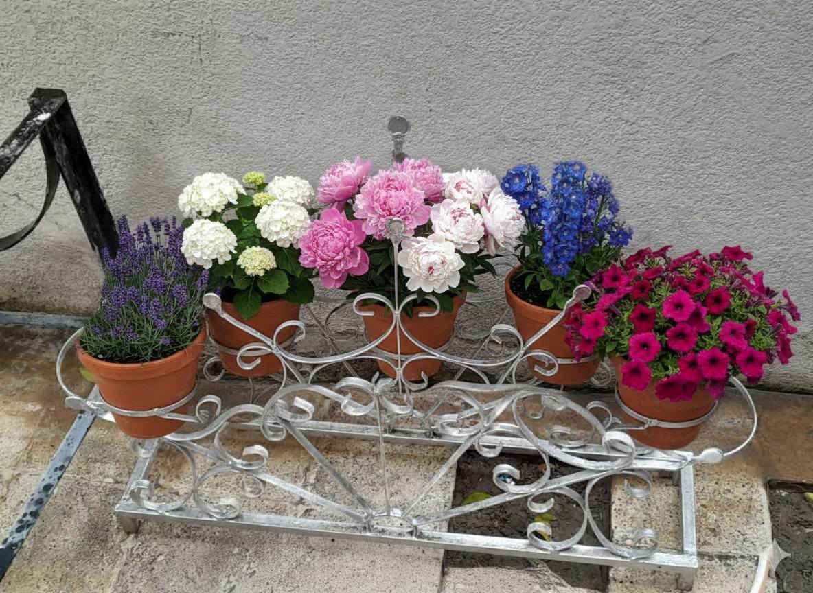 قاعدة سنادين حديد ثقيل اصلي السعر 40 الف


**إذا كنت صاحب هذا الإعلان وتريد حذفه لأي سبب، رجاءا أرسل رسالة إلى الدعم الفني**