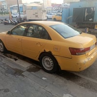 سوناتا • ٢٠٠٨ • صبغ فقط