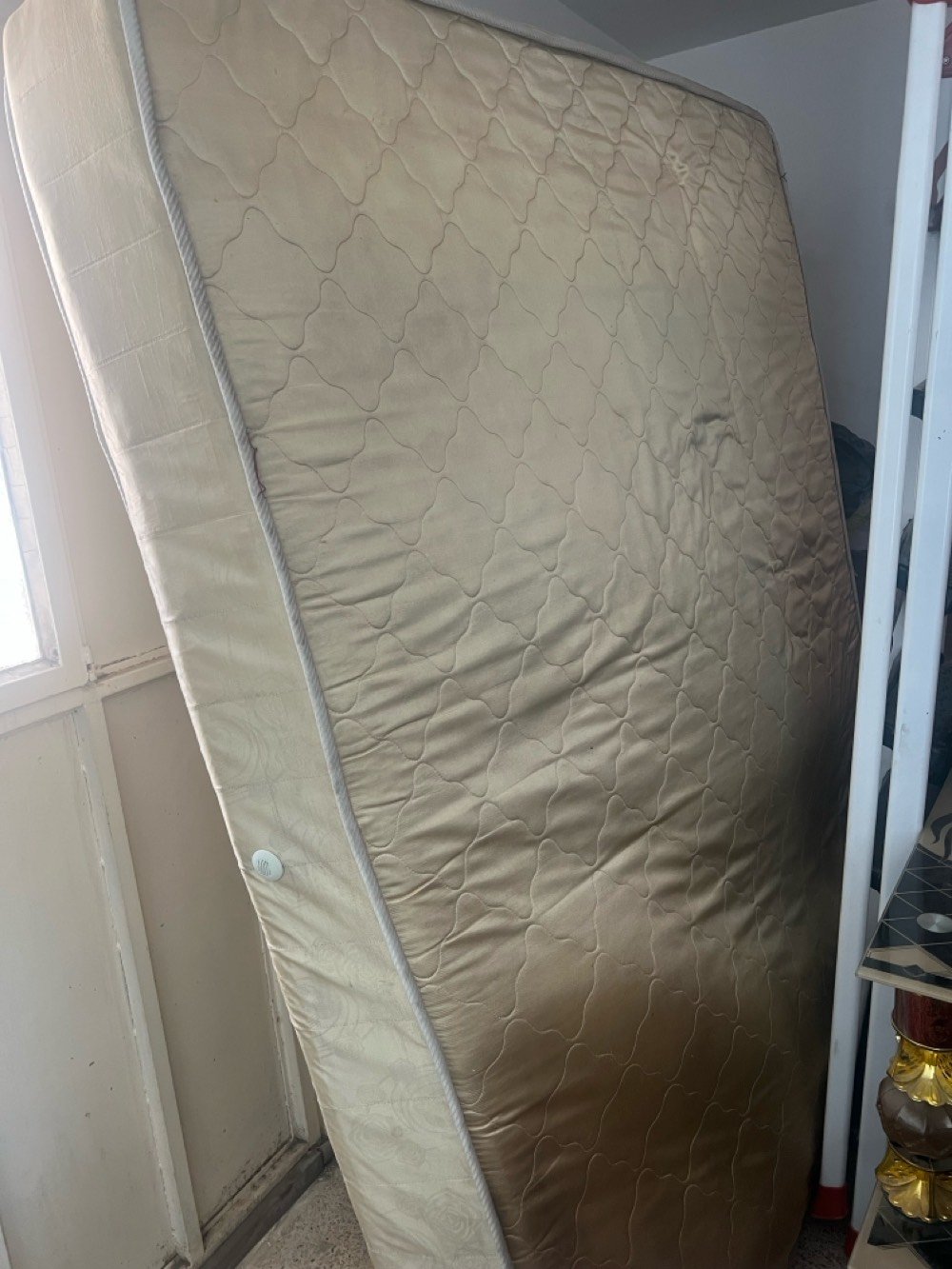 موصل حي فلسطين 