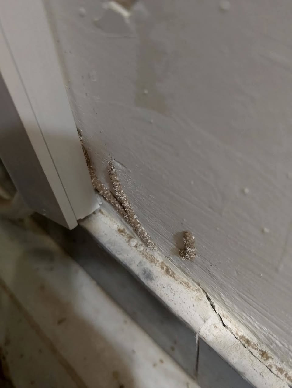 يوفر لكم ( مكتب الوسام المختص بكشف ومكافحه حشرة الارضه والقوارض بجهاز السونار) كوادر متخصصه لمكافحة حشرة الارضة .
💎كشف دقيق وموقعي. 
💎استخدام افضل انواع المبيدات المرخصة من قبل وزارةالصحة بدون رائحة وغير سامة  حيث ليس هناك الحاجة لاخلاء الموقع من سكانه .
💎ضمان خمس سنوات 
نقدم لكم الحل الأمثل لمشكلة الأرضة والنمل الأبيض، حيث نوفر جميع مبيدات فايروسيه الفعالة ونسعى لخدمة العملاء على أكمل وجه، وتقدم الشركة خدماتها في أسرع وقت وتمتلك حلول فعالة وعصرية وغير تقليدية، يتم رش المبيدات فايروسيه حسب مساحة المكان، كما يوجد خدمات خاصة للمنشآت الهامة مثل المستشفيات والبنوك والمساجد ودوائر الدوله الشركات الاهليه
💎لاتستخدم الكلوردين او النفط للمعالجة
لدينا مواد صديقة للبيئة تستخدم لمكافحة الارضة وليس فيها ضرر على الصحة العامة
تعمل كوادرنا في جميع محافظات العراق
وعلى مدار 24 
***********
***********
او مراسلة الصفحة

 مكتب الوسام  ومكافحة حشرة الارضة والقوارض بجهاز السونار
