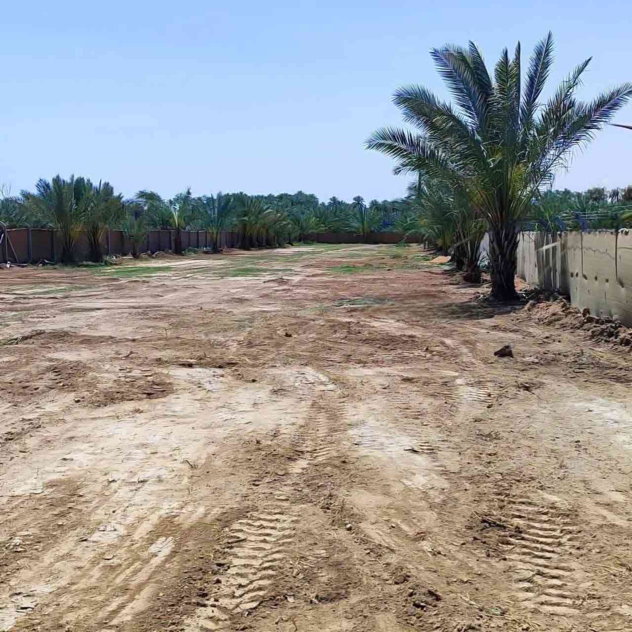 عقار مميز في كربلاء💯
✅دونم ونص للبيع واجهة 24 م
طابو سند 25 تحويل بالطابو 

✅️متوفرة كافة الخدمات
تبليط، ماء، كهرباء، مدارس

✅️الموقع كربلاء - منطقة 
الزبيلية( قرب مدرسة الحكمة )
يبعد عن شارع رابط الزبيلية 5 كيلو 
يبعد من مركز مدينة كربلاء 15 كيلو 

💰السعر 160 مليون عقاري كربلاء 

📞 *********** 
🌹متابعه الصفحه ليصلك أفضل عروض البساتين
