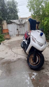 مراوس مكاني • سوك الوسط • كربلاء