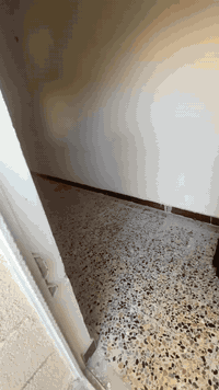 شقة أرضية للايجار غرفتين وصالة ومطبخ وملحقاتها الإيجار ٦٠٠ ألف شهريا  ، العنوان شارع الوفود المشراق الجديد قرب ثانوية الاختيار للإستفسار الاتصال على الرقم ***********
