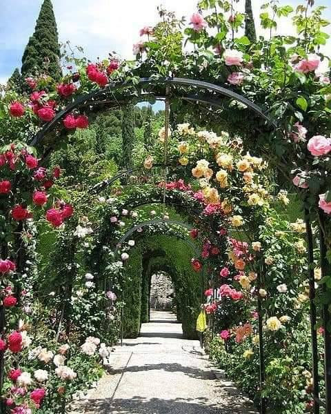 مكتب الزهور لتجهيز وتزيين الحدائق المنزلية والعامة وكل انواع الحجر والشلالات والشلالات والثيل الطبيعي او الاصطناعي ومكافحة الارضة اتصل على الرقم ***********/***********
